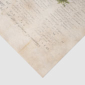 Papier Mousseline Vintage botanical herbs rustic parchment farmhouse (Détail)