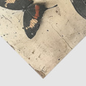 Papier Mousseline Vintage Butterfly (Détail)