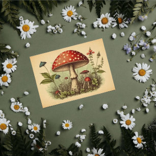 Papier Mousseline Vintage Champignon Toadstool Rouge Découpage Cotta