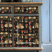 Papier Mousseline Vintage Dark Academia Moth and Mushroom