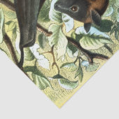 Papier Mousseline Vintage flying fox bat acadamia illustration  (Détail)