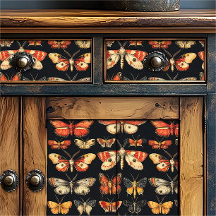 Papier Mousseline Vintage Gothique Spécimen Académie Sombre Papillon