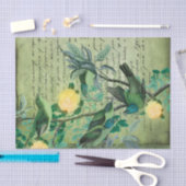 Papier Mousseline Vintage Green Birds Botanical (Artisanat)