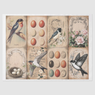 Papier Mousseline Vintage hirondelle et nid avec oeufs floral
