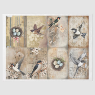 Papier Mousseline Vintage hirondelle et nid avec oeufs floral