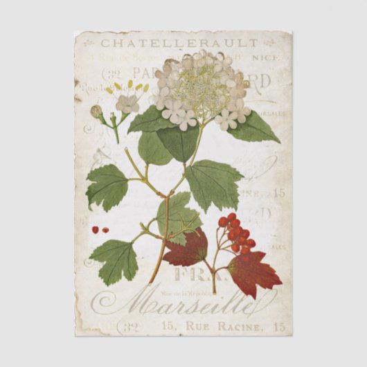 Papier Mousseline Vintage Hydrangea Botanical French Text Decoupage (Recto)