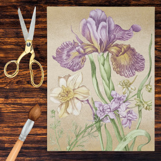 Papier Mousseline Vintage Iris Botanical Drawing in Purple and Gold