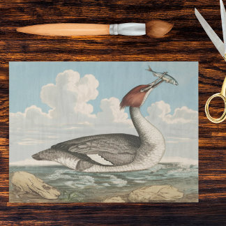 Papier Mousseline Vintage Merganser Duck Goosander Fauna Plate