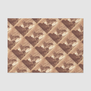 Papier Mousseline Vintage naufrage - Navire à voile Antique Photo