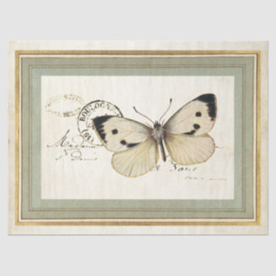 Papier Mousseline Vintage Papillon Gold Frame French Postmark