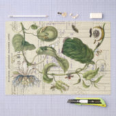 Papier Mousseline Vintage Passionflower Script français Botanique (Artisanat)