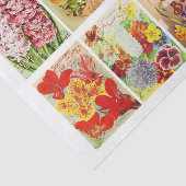 Papier Mousseline Vintage Seed Packet Collection Decoupage Collage (Détail)