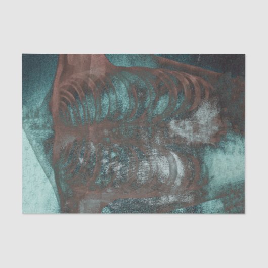Papier Mousseline Vintage Skeletal Xray Turquoise Texture Brown (Recto)