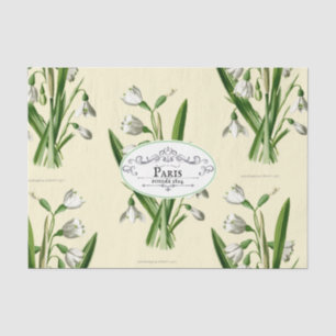 Papier Mousseline Vintage Snowdrop Oval Produit Étiquette Jaune