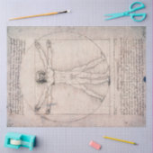 Papier Mousseline Vitruvian Man Vitruvian Man, Leonardo da Vinci (Artisanat)