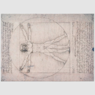Papier Mousseline Vitruvian Man Vitruvian Man, Leonardo da Vinci