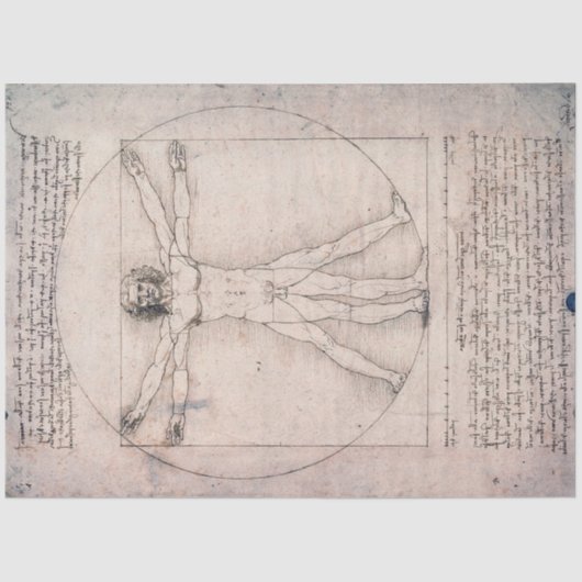 Papier Mousseline Vitruvian Man Vitruvian Man, Leonardo da Vinci (Recto)