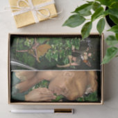 Papier Mousseline Voeux du royaume des fées (Cadeau)