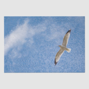 Papier Mousseline Voler une mouette solo dans le ciel
