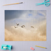 Papier Mousseline Vols d'oiseaux (Artisanat)