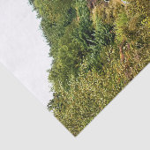 PAPIER MOUSSELINE VTT (Détail)