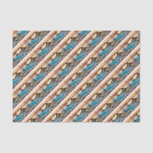 Papier Mousseline Vue Cityscape De Rio De Janeiro (Recto)