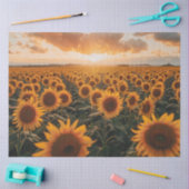 Papier Mousseline Vue Paramètre Sun du champ de décomposition (Artisanat)