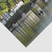 PAPIER MOUSSELINE VUES DES ALLES (Détail)