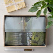 PAPIER MOUSSELINE VUES DES ALLES (Cadeau)