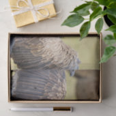 Papier Mousseline Vulture (Cadeau)
