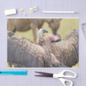 Papier Mousseline Vulture (Artisanat)