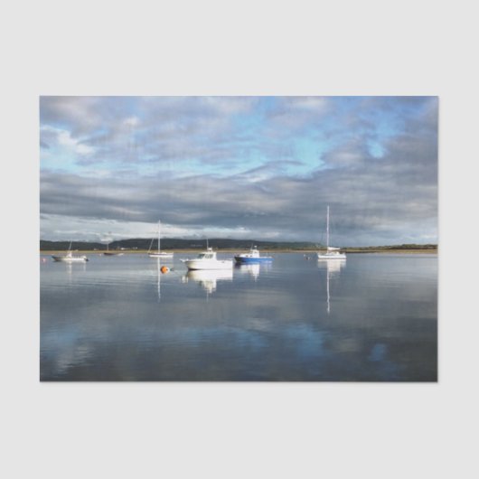 PAPIER MOUSSELINE WALES (Recto)