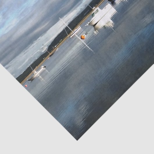 PAPIER MOUSSELINE WALES (Détail)