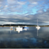 PAPIER MOUSSELINE WALES