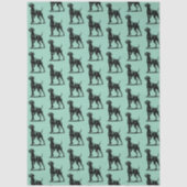 Papier Mousseline weimaraner (Recto)