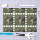 Papier Mousseline weimaraner-6 (Artisanat)