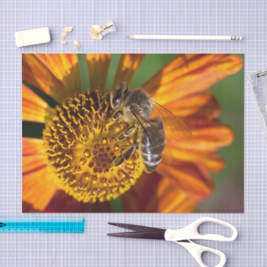 Papier Mousseline Western Honey Bee Macro photo (Artisanat)