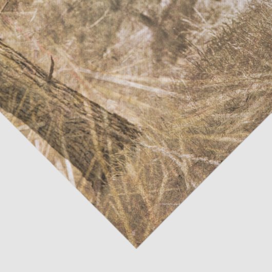 Papier Mousseline Western Longhorn Bull (Détail)