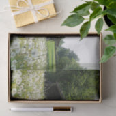 Papier Mousseline White Dandelions Supporting a Tired Looking Barn (Cadeau)