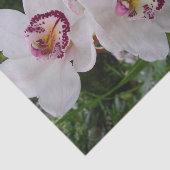 Papier Mousseline White Orchids Beautiful Tropical Flowers (Détail)