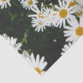 Papier Mousseline White Oxeye Daisy Meadow (Détail)