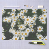 Papier Mousseline White Oxeye Daisy Meadow (Artisanat)
