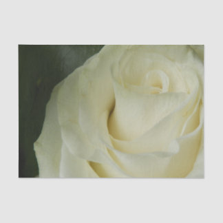Papier Mousseline White Rose