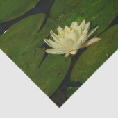 Papier Mousseline White Waterlily I Peaceful (Détail)