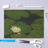 Papier Mousseline White Waterlily I Peaceful (Artisanat)