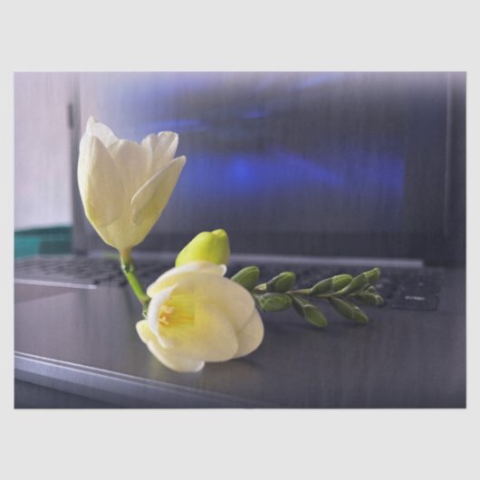 Papier Mousseline White yellow freesia (Recto)