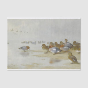 Papier Mousseline Wigeon et Turquoise au bord de l'eau, Art