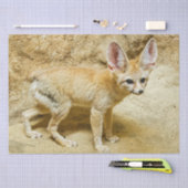 Papier Mousseline Wild Fennec Fox (Artisanat)