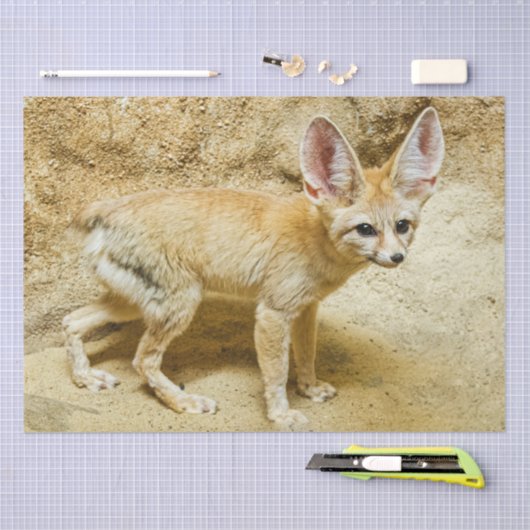 Papier Mousseline Wild Fennec Fox (Artisanat)