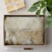 Papier Mousseline Wild Fennec Fox (Cadeau)